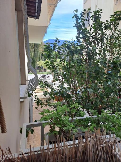 Δίπλα Στο Πάρκο Appartement Kalamáta Buitenkant foto